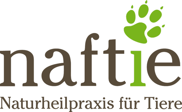kratzbaum katzen Designer scratching post and cat bed PLATEAU
